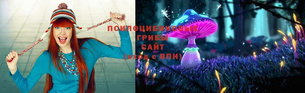 мдма Козловка