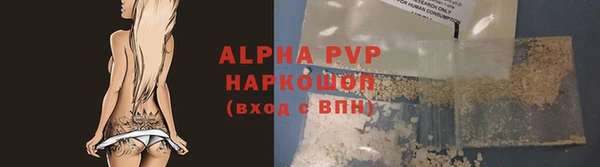 СК Козельск