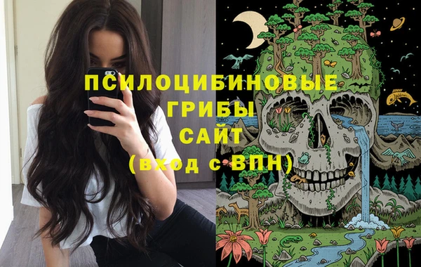 амф Коряжма