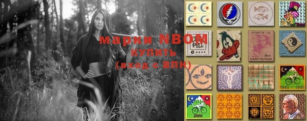 амф Коряжма
