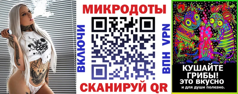 Галлюциногенные грибы Psilocybe  Купить закладки  Вязники 